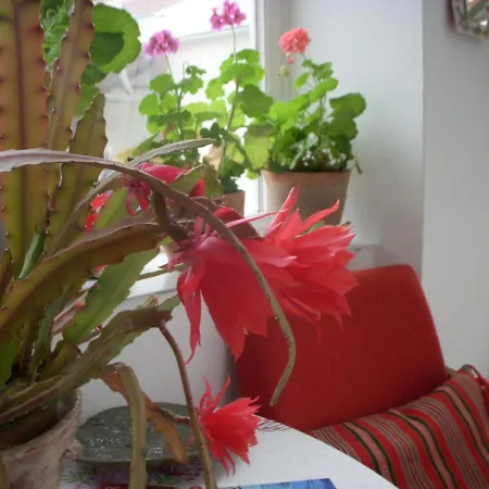 39号花园小屋公寓